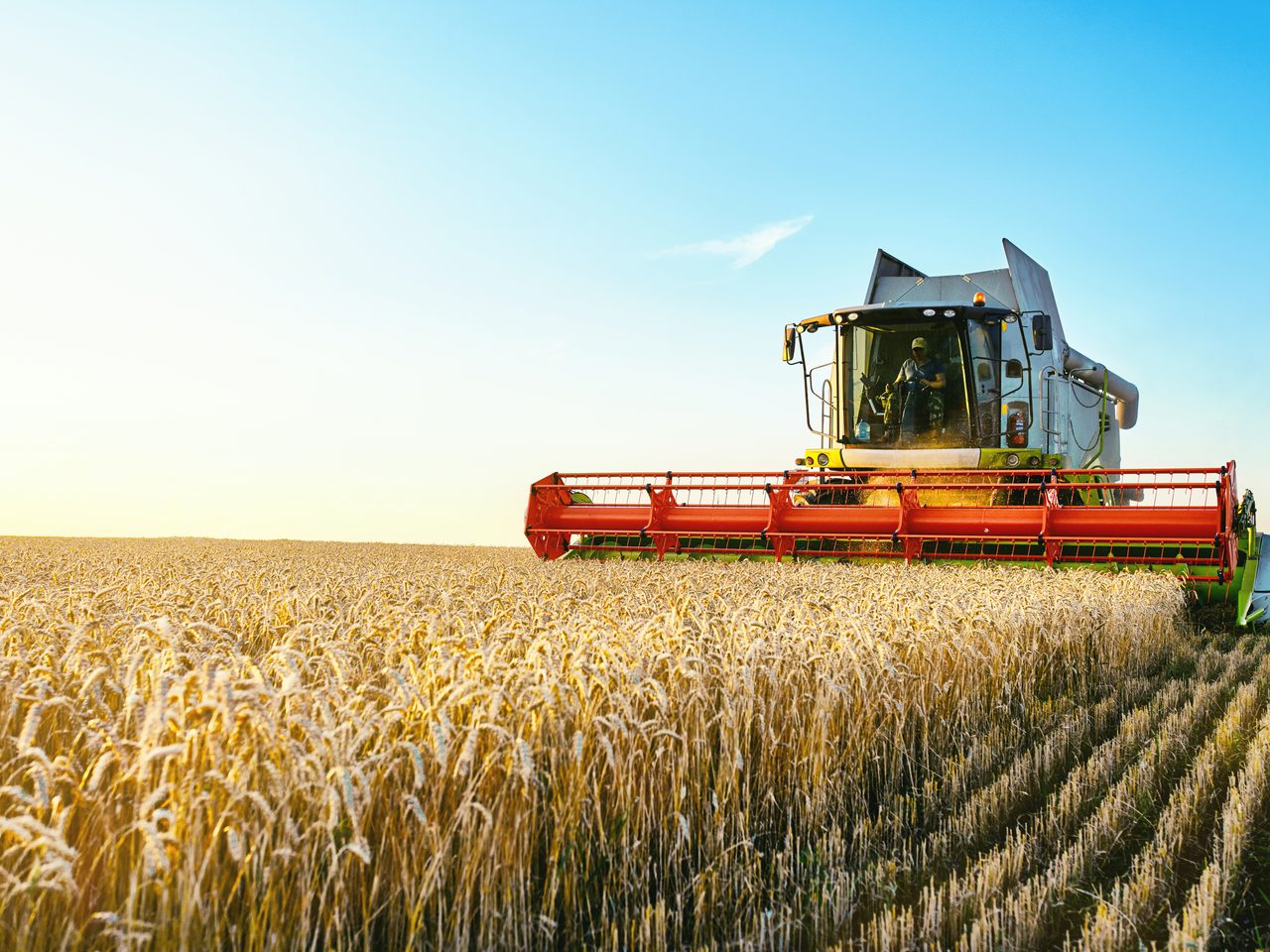 Agriculture
