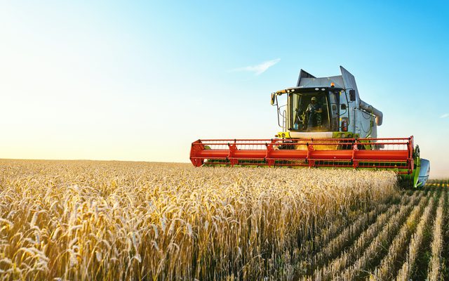 Agriculture